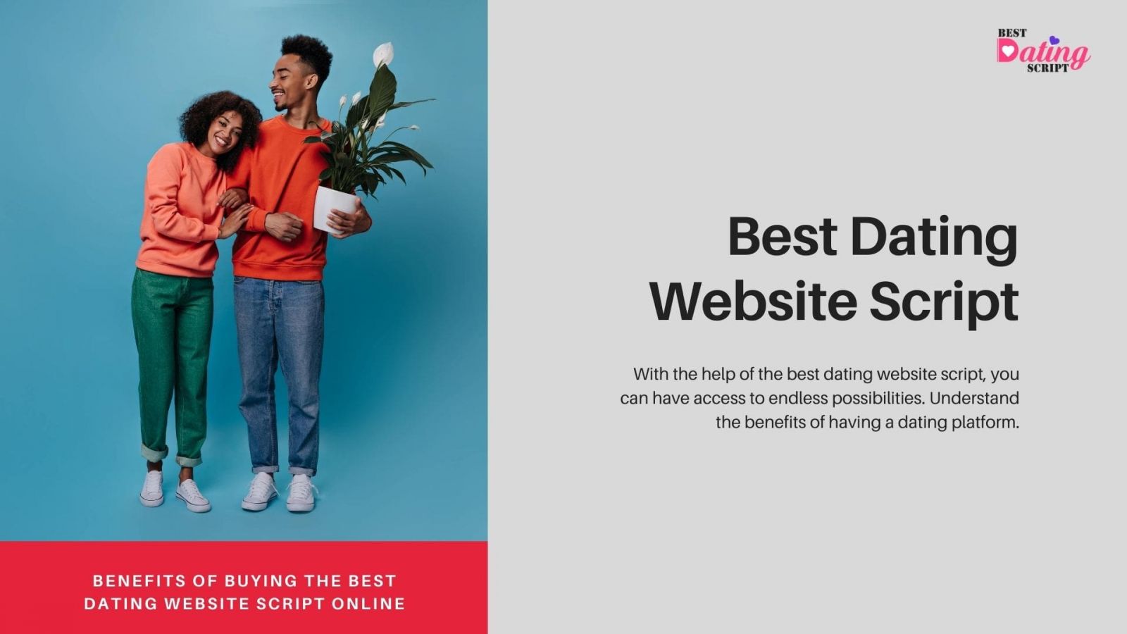 Benefits of Buying The Best Dating Website Script Online