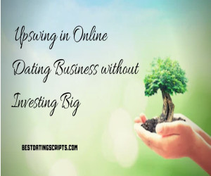 How to Upswing in Online Dating Business without Investing Big?