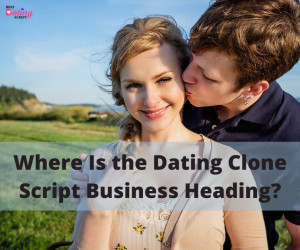 Where Is the Dating Clone Script Business Heading