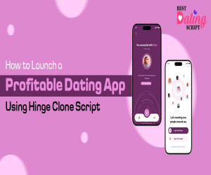 How to Launch a Profitable Dating App Using Hinge Clone Script