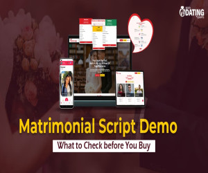 Matrimonial Script Demo: What to Check before You Buy