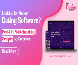 Looking for Modern Dating Software? Best PHP Matchmaking Scripts to Consider